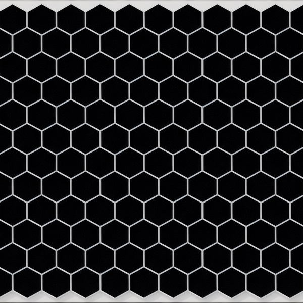 Onyx Black