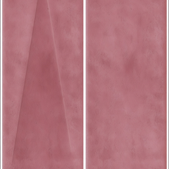 Coral Pink Decor