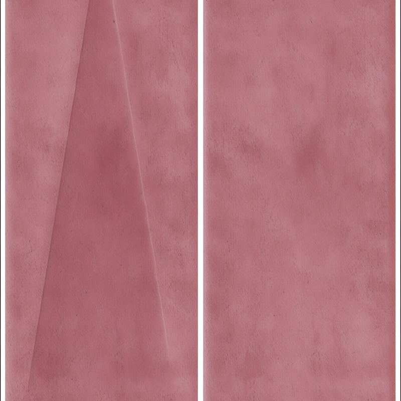 Coral Pink Decor