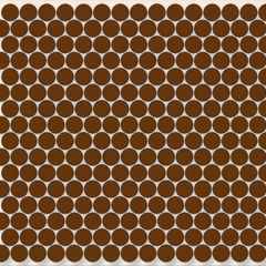 Rich Brown