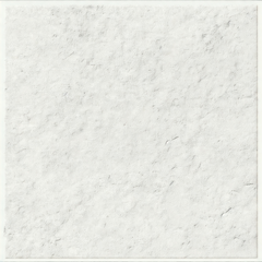 Luna Blanco Miami