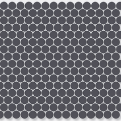 Charcoal Gray