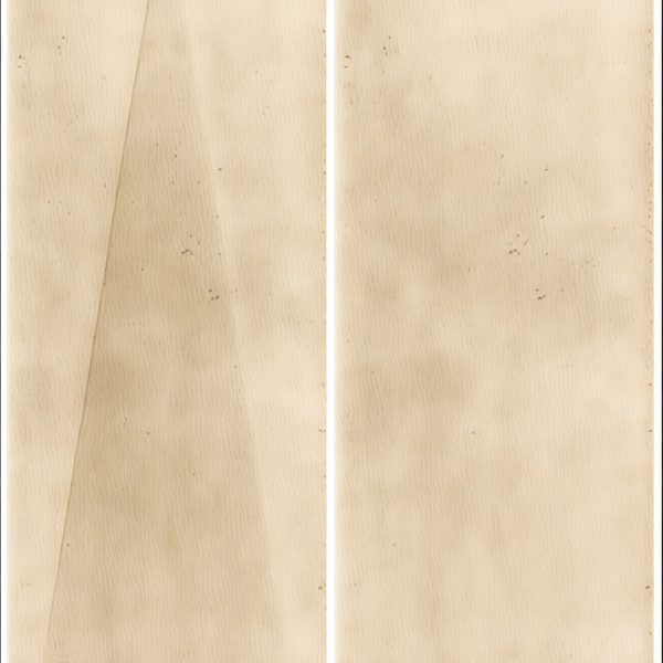Sand Beige Decor